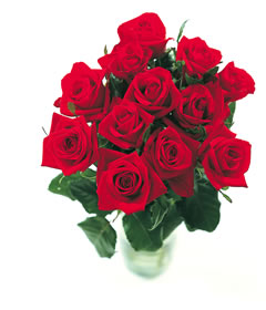 12 Red Roses Arranged - Container